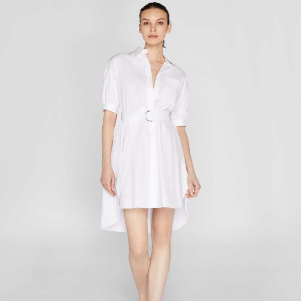 Club Monaco Novel Pleated Shirt Dress